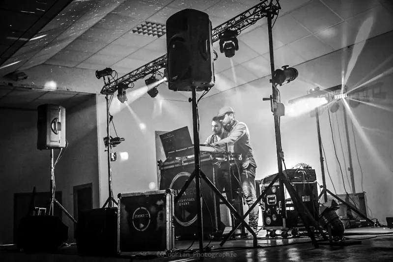 Festivals & Concerts